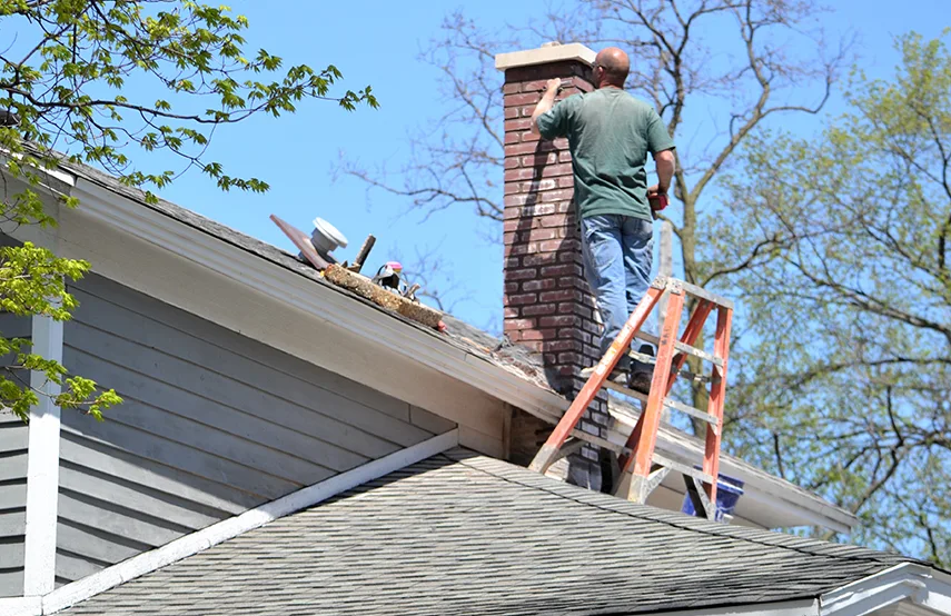 Chimney & Fireplace Inspections Services in Anthem, AZ